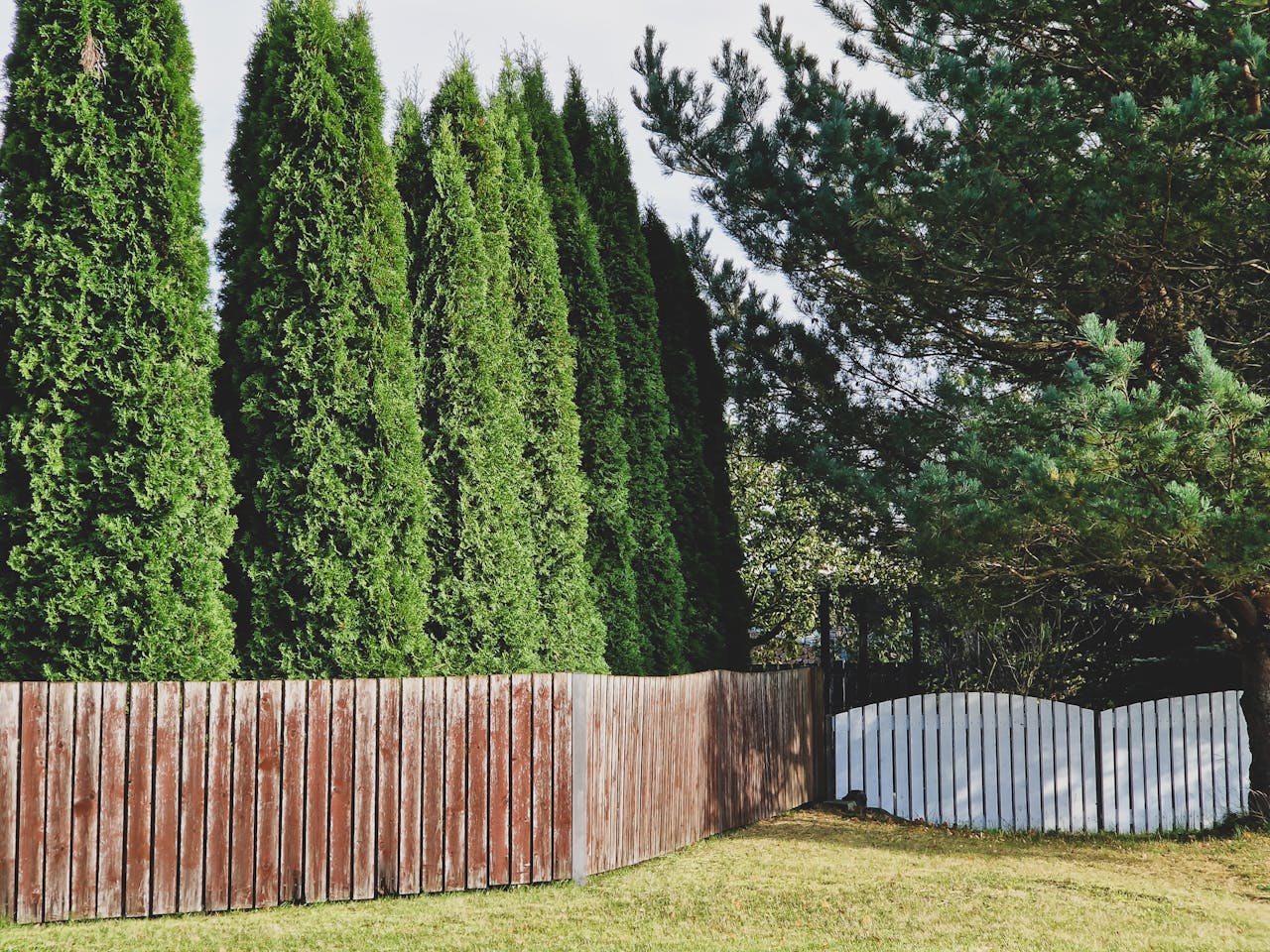 Do you need a permit to build a fence in SC?